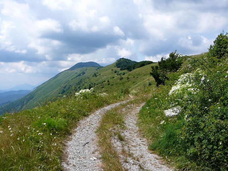 Kliknutím na obrázek se okno zavře